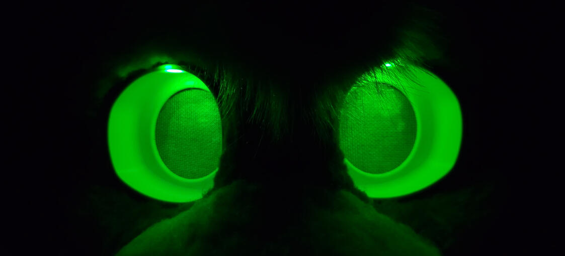Green LED Eyes